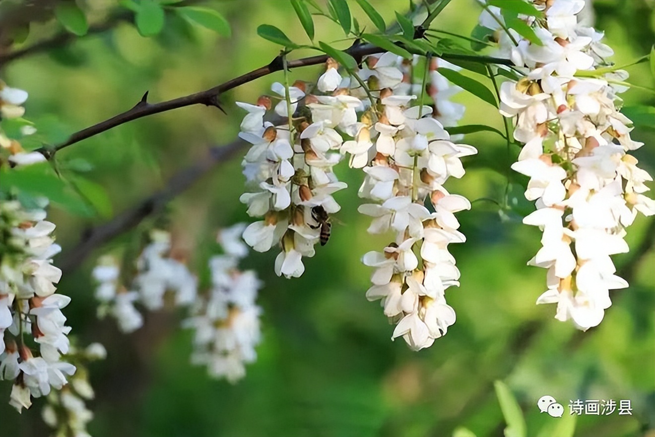 全中国最震撼的六条天路,中国的九条天路