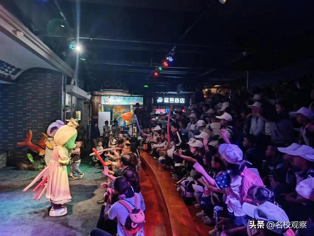 蔚蓝做苍穹，鱼儿变繁星！新川学子，走进浩海立方，探秘无限海洋