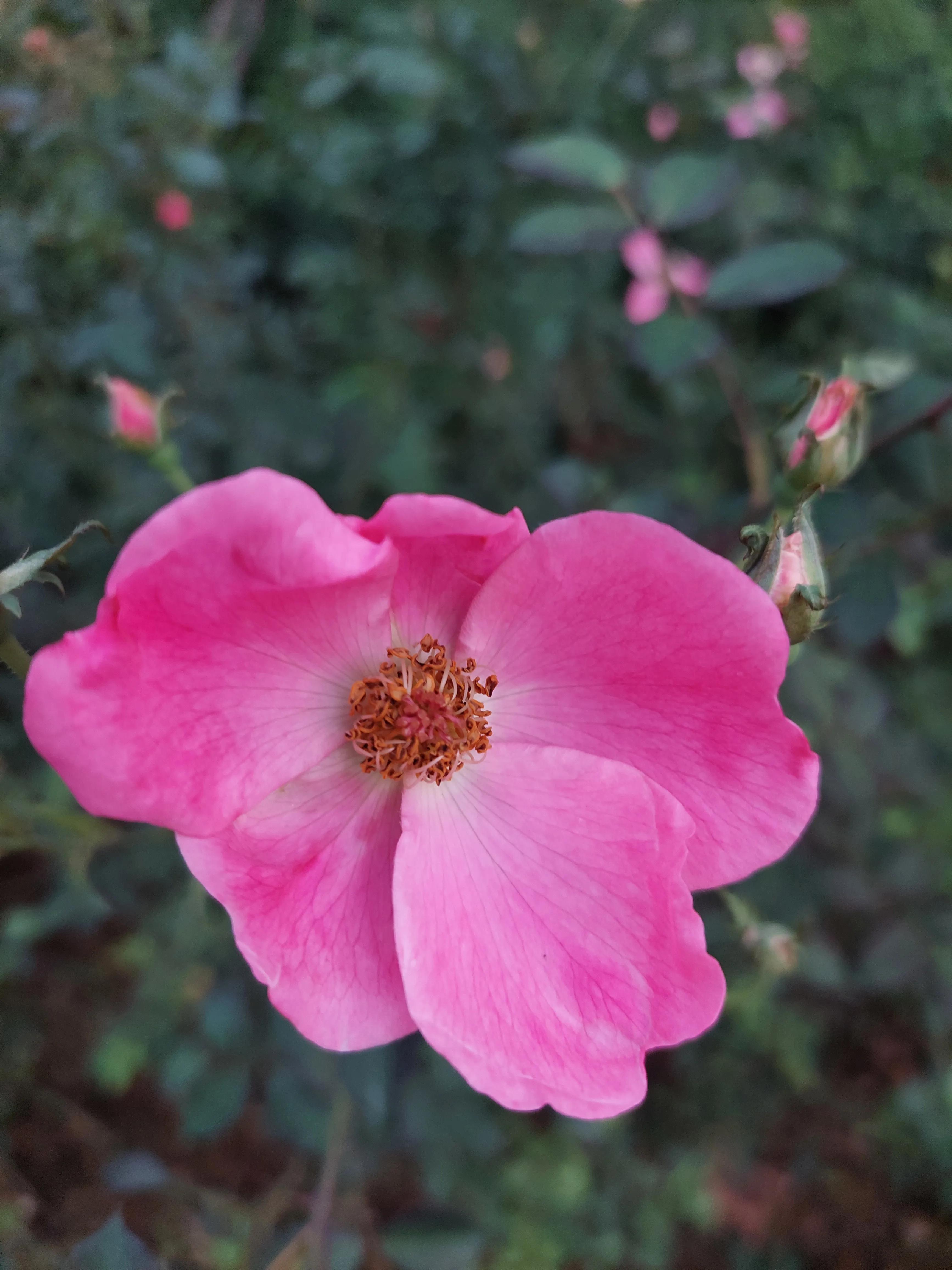 场上一分钟足球,足球一分钟最多进多少球