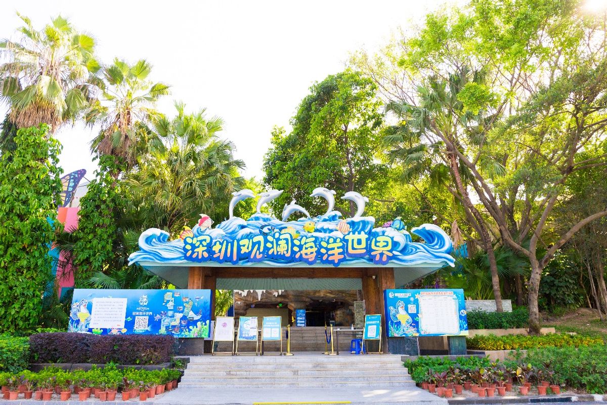 深圳观澜亲子游十大排行榜,深圳周边儿童好玩的海洋世界推荐