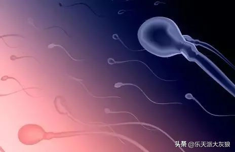 你可以去捐精啊！捐一次得6000，不骗你，有图有真相！