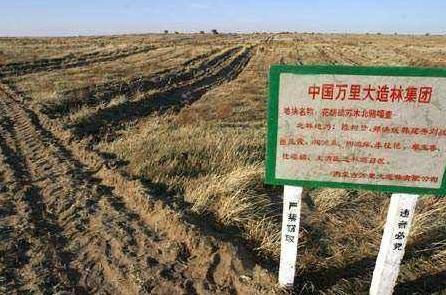 东北商业奇才陈相贵,东北巨富传奇后续