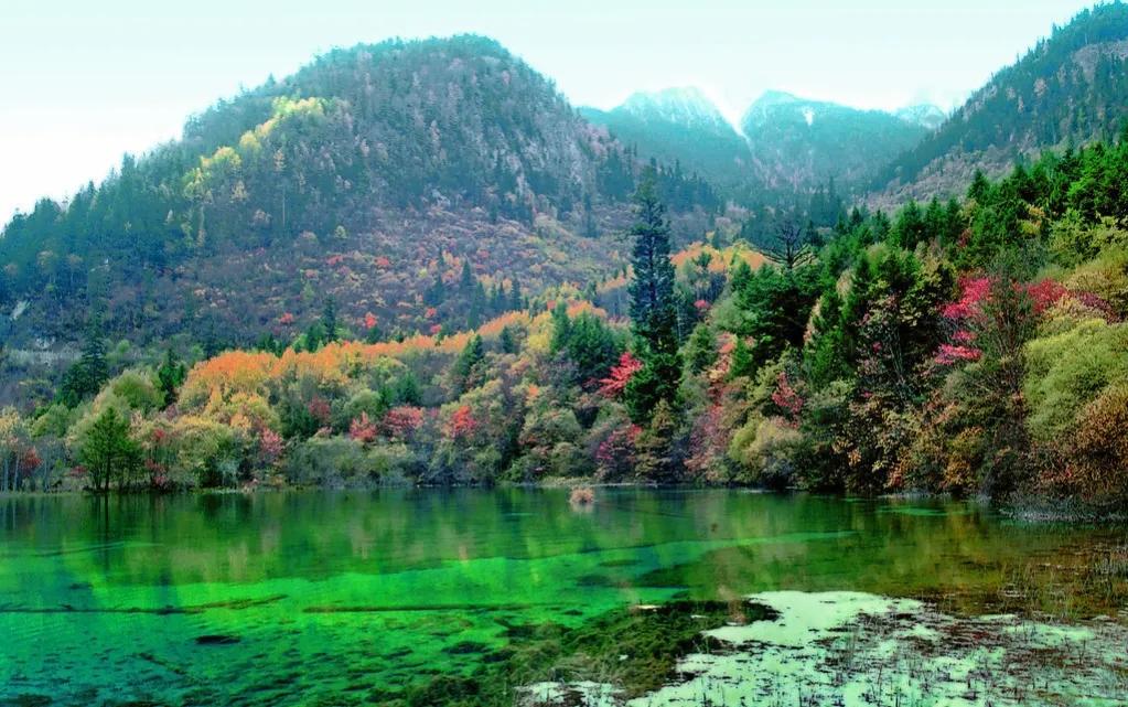 人间仙境九寨沟图片,人间仙境九寨风景图片