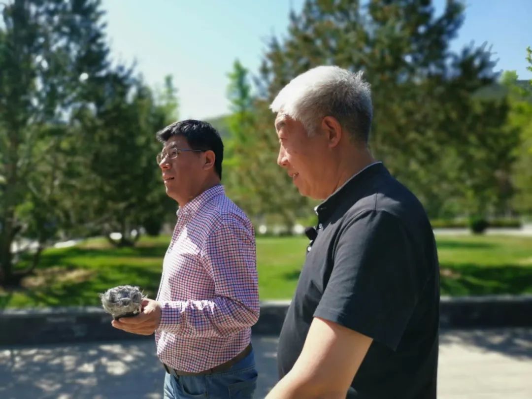 门头沟为什么叫门头沟？︱那条沟到底在哪？