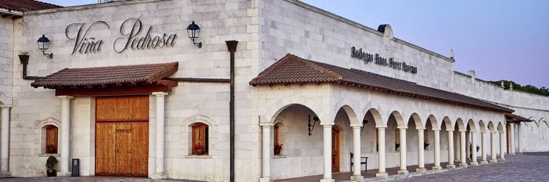 教皇喜欢谁,教皇喜欢的男孩