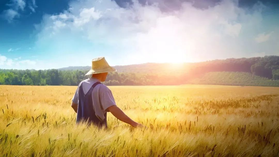 最新的锐词来了,请收好