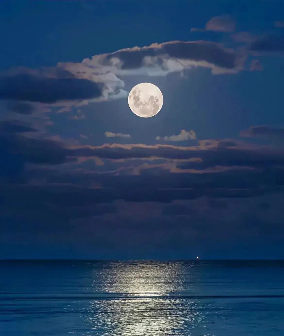 厮守一生的唯美诗句图片,相爱的诗句经典语录图片