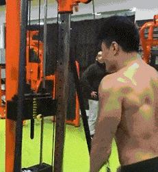 老鼠贴粘到鸟违法吗,老鼠贴能粘住死人吗