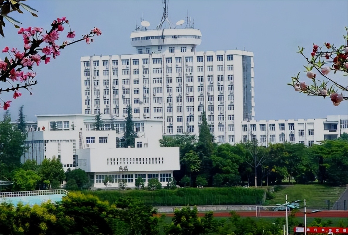 12年前，武汉医学博士11天5次捐精意外猝死，机构：我们只赔8.8万