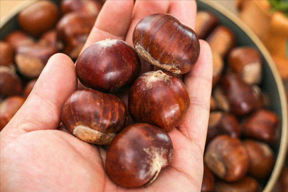 煮板栗怎么煮好剥壳,板栗煮开口容易剥开的诀窍