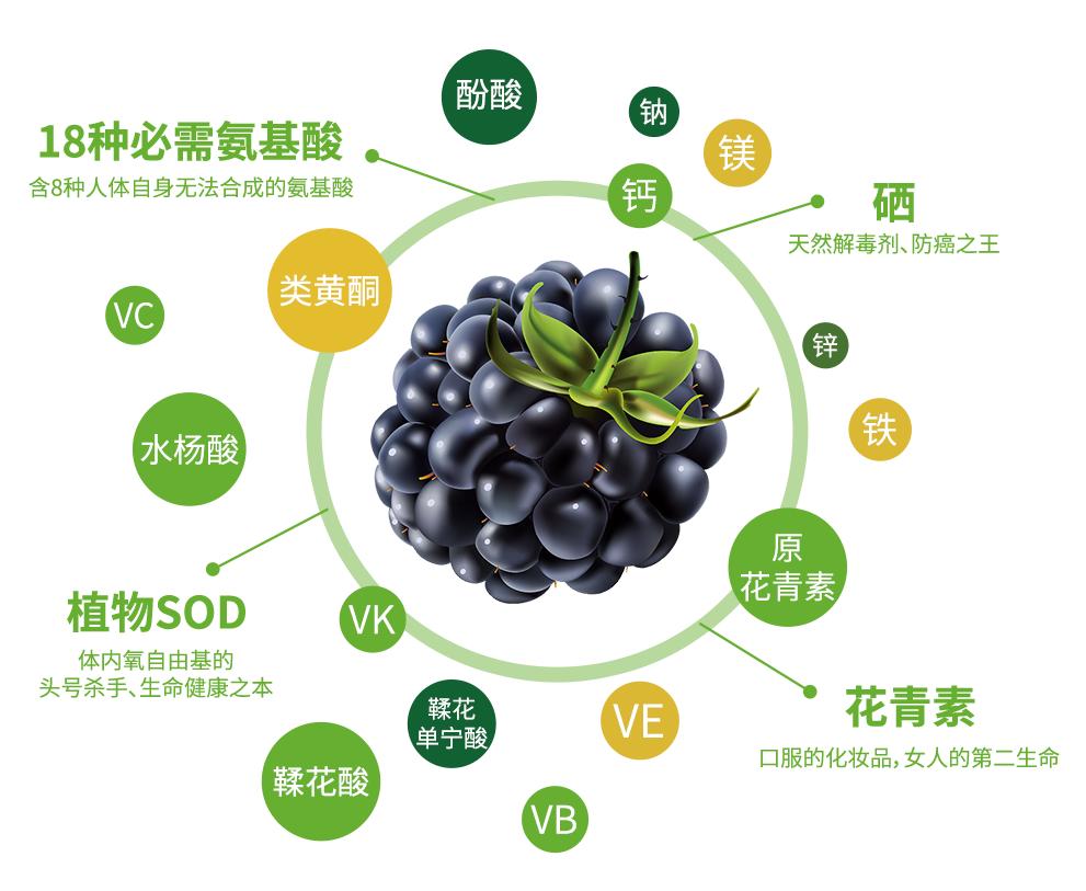 官方推介：夏日避暑纳凉寻香觅果之旅，就在百汇园黑莓产业园