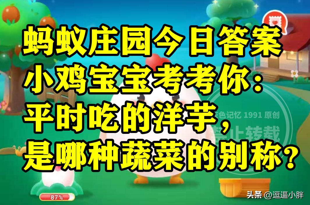 洋芋是哪种蔬菜的别称,平常吃的洋芋是土豆还是芋头