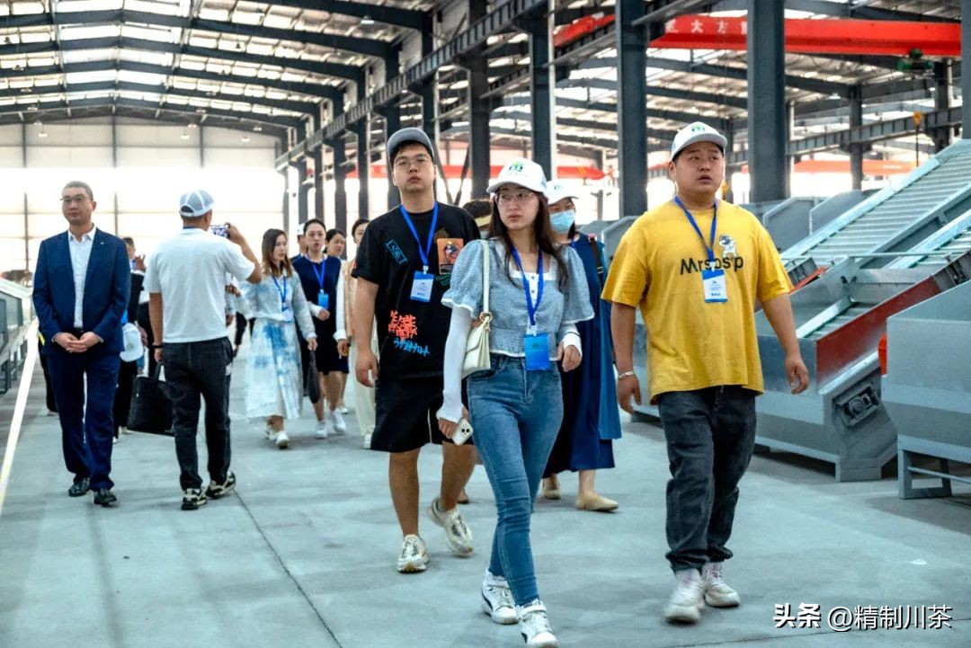 寻茶香赴春约---记四川省茶叶行业协会贵州毕节行