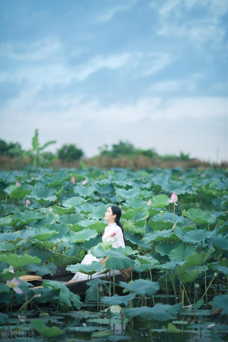 鹤山古劳水乡自由行,鹤山自由行攻略