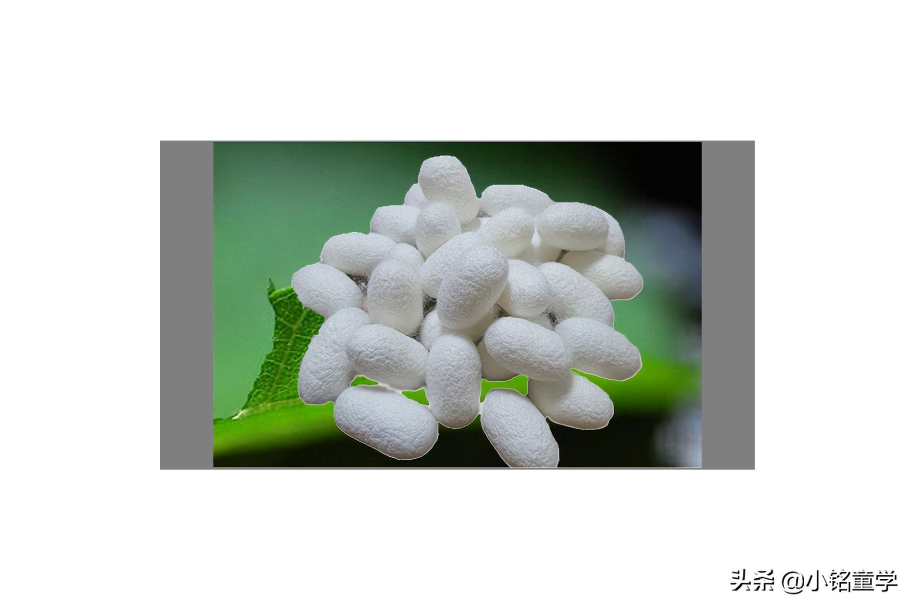 重磅真丝和普通真丝哪个好,重磅真丝比一般真丝质量好吗