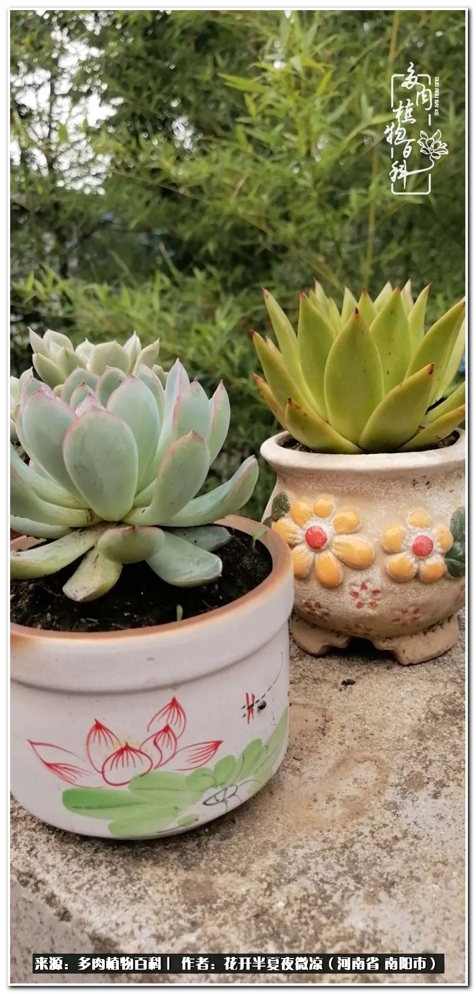 万事开头难只要坚持才有收获,万事开头难只要肯干就会有结果