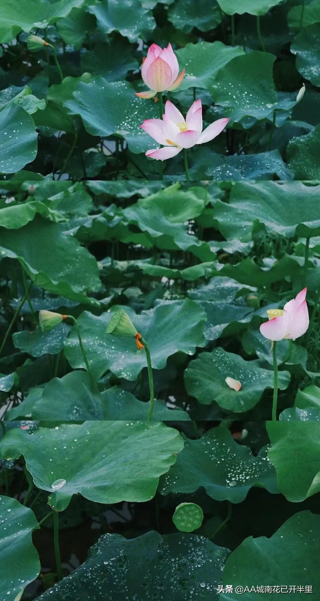 和父母借1000元被拒绝的心酸,被网友借了8万块不还怎么办