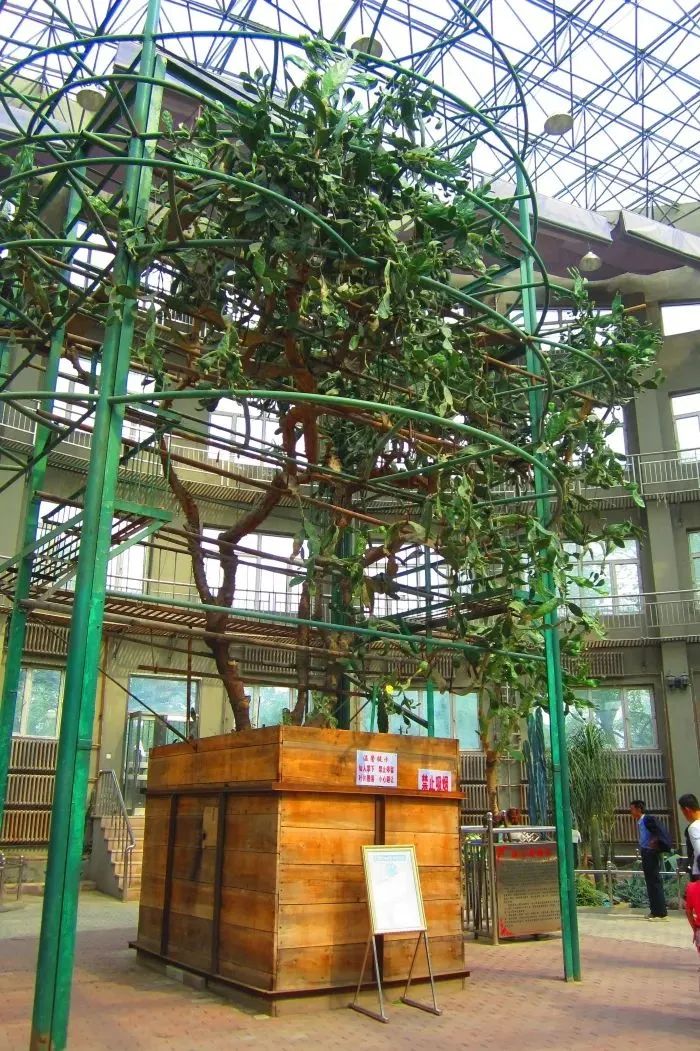 时光交织·呼兰韵事|带你踏遍“满洲谷仓”的魅力足迹