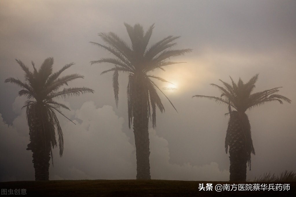广东天气潮湿湿气重,广东天气潮湿应对办法