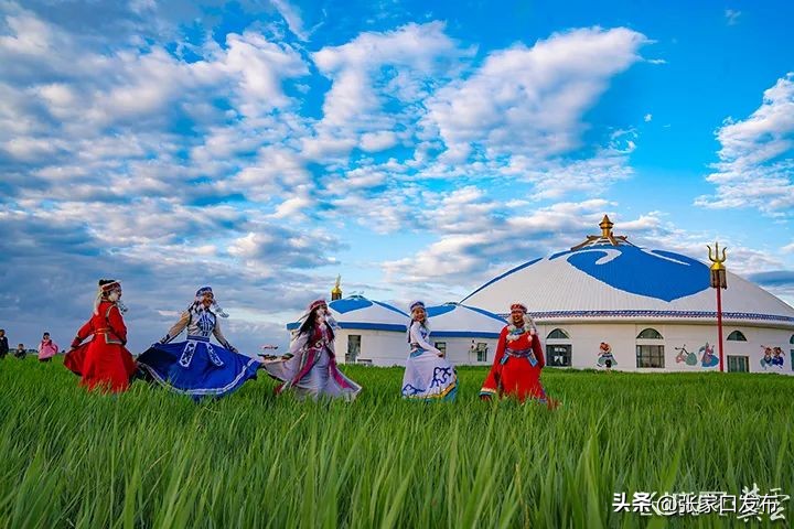 来坝上草原的第二天,坝上草原真实感受