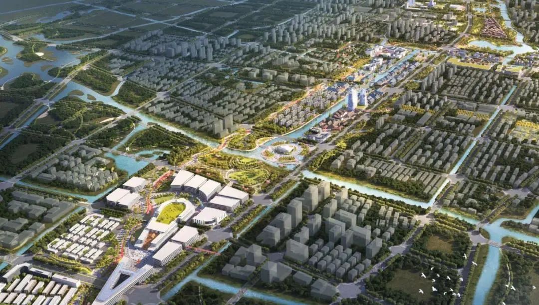 金山这个小圈里有大文章，一起来看看～