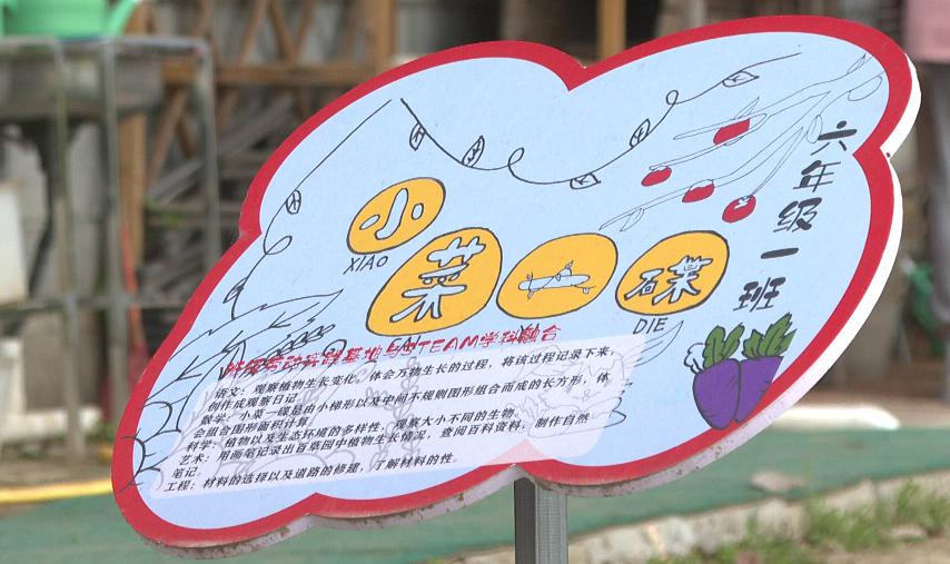 劳动实践教育基地体验劳动的快乐,一小劳动实践基地