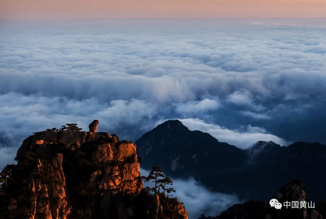 歙县记者节,记者采访风景视频素材