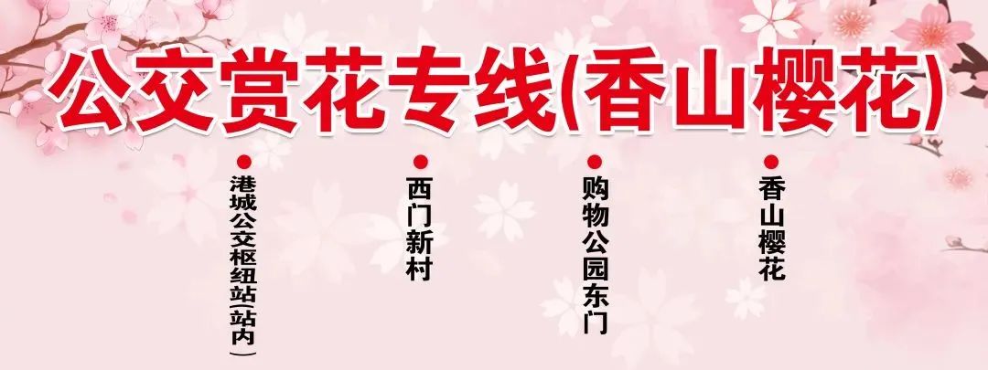 今日开通高铁,快上车流程