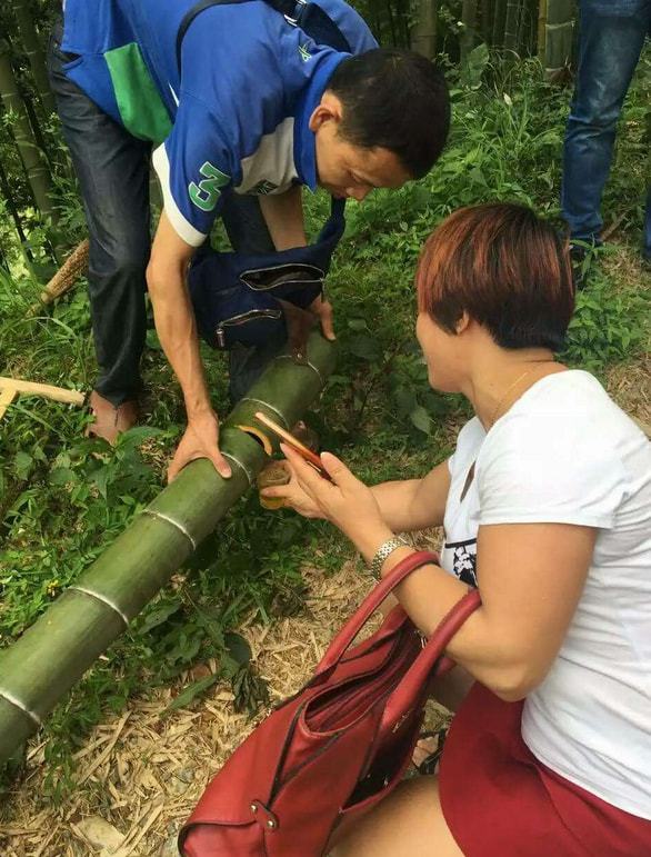 鏌忔澗缁胯壊閰掍笟鏈夐檺鍏徃,鏌忔澗閰掍笟