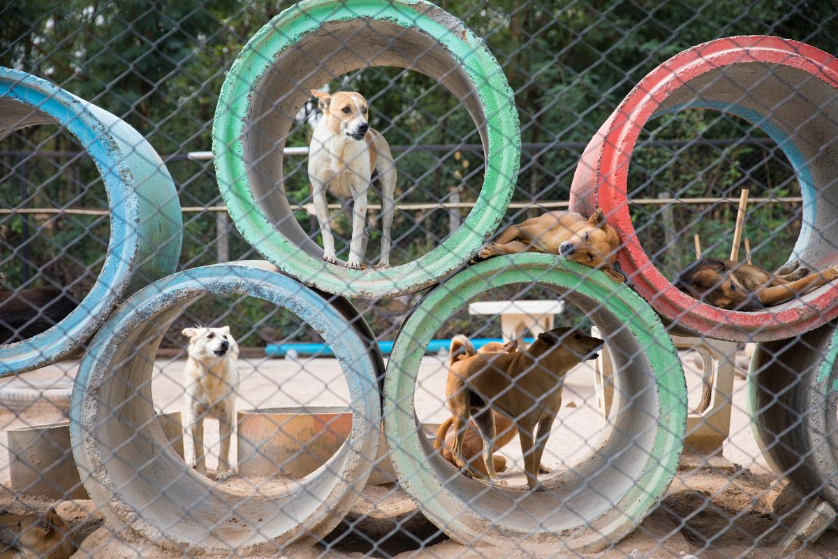 泰国的风土人情和自然风光,泰国风情照片