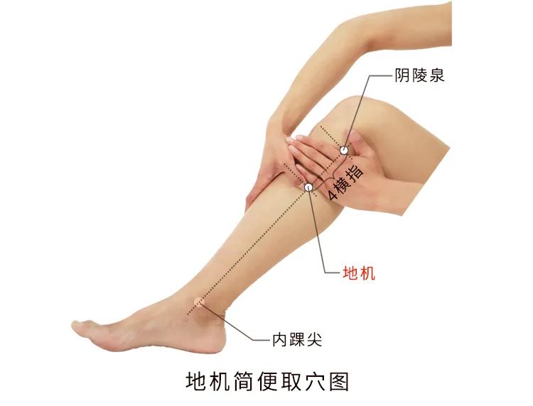 妇女之友地机穴,月经不调的治疗要穴