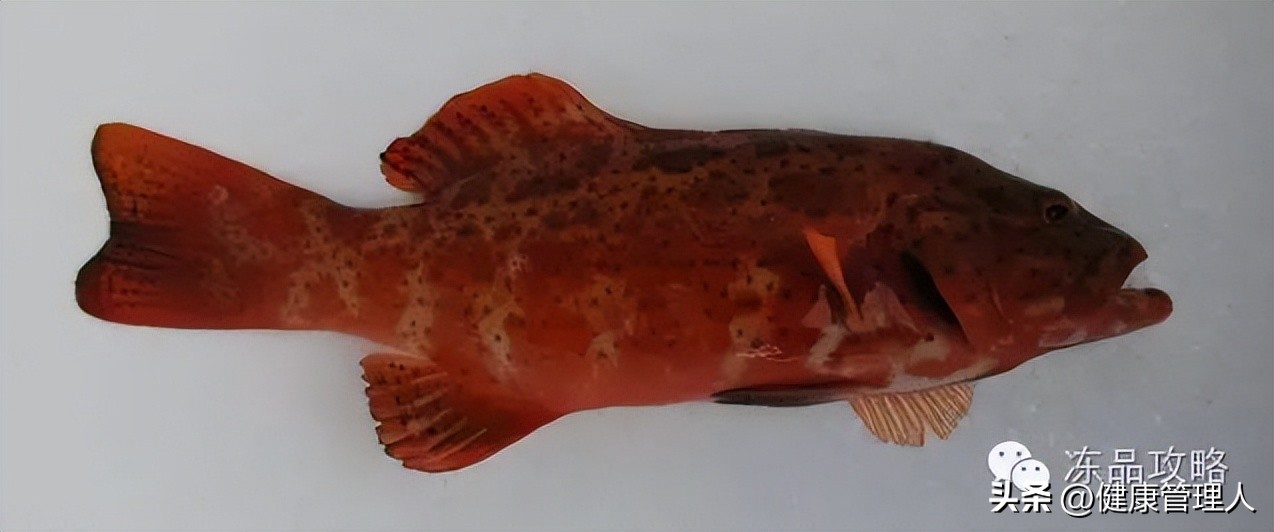 美容护肤食疗方案,美容护肤养生介绍