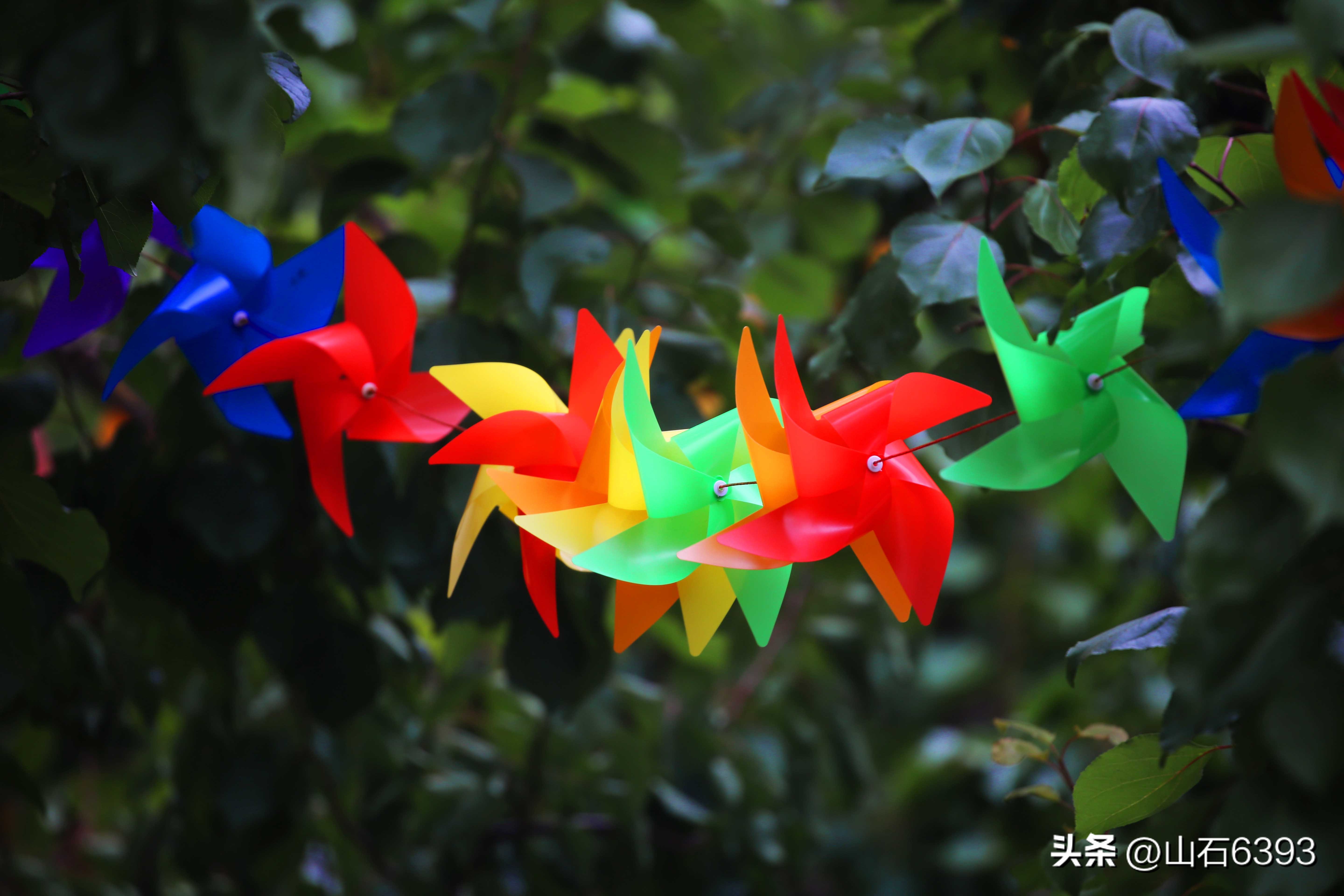 陈民“永远的78师”74：瞎参谋乱干事胡助理～司政后机关的精英们