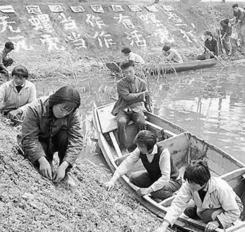 “蛊”究竟是什么？1958年我国蛊病泛滥成灾，毛主席亲自部署