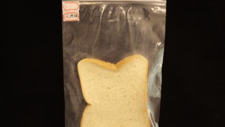 面包发霉了宝宝吃了,面包发霉了科学小实验