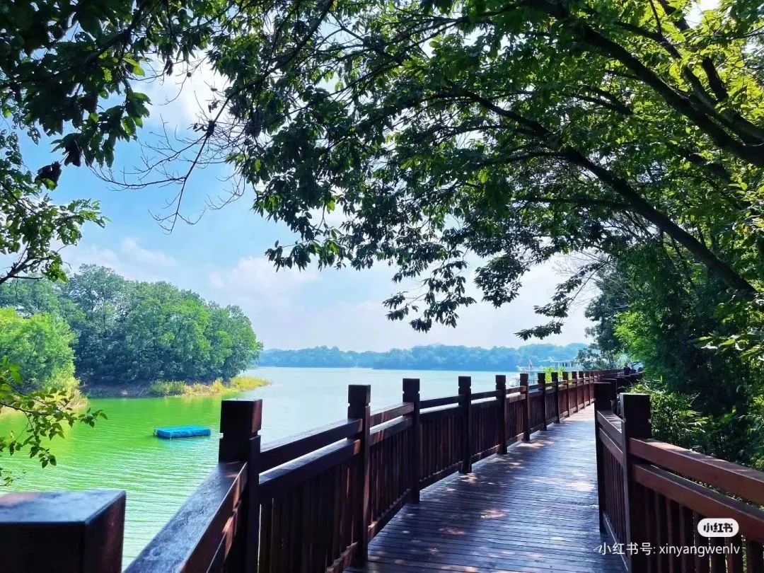信阳南湾湖一日游详细攻略,信阳三日游攻略路线