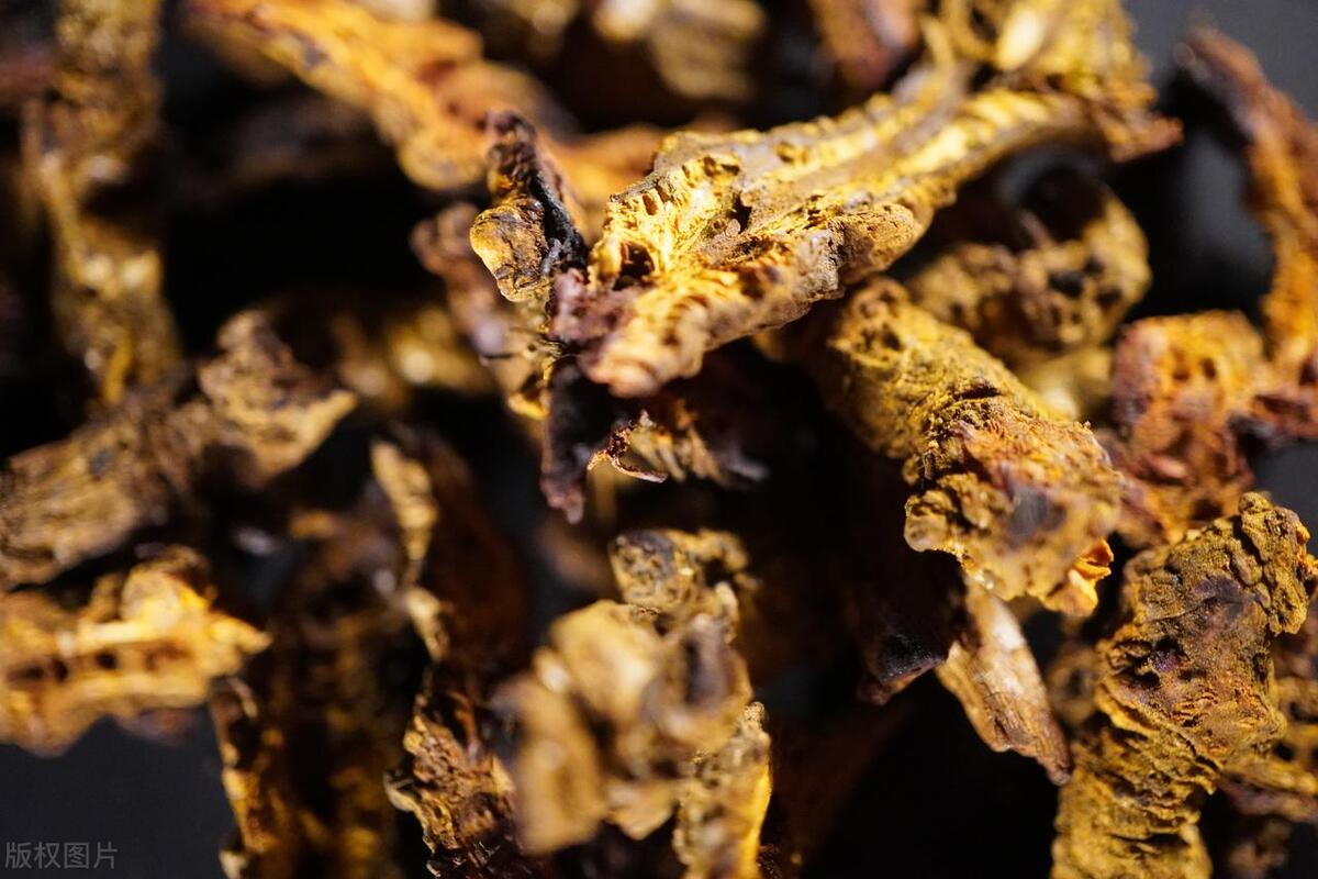 黄连清热,黄连清热燥湿是什么意思