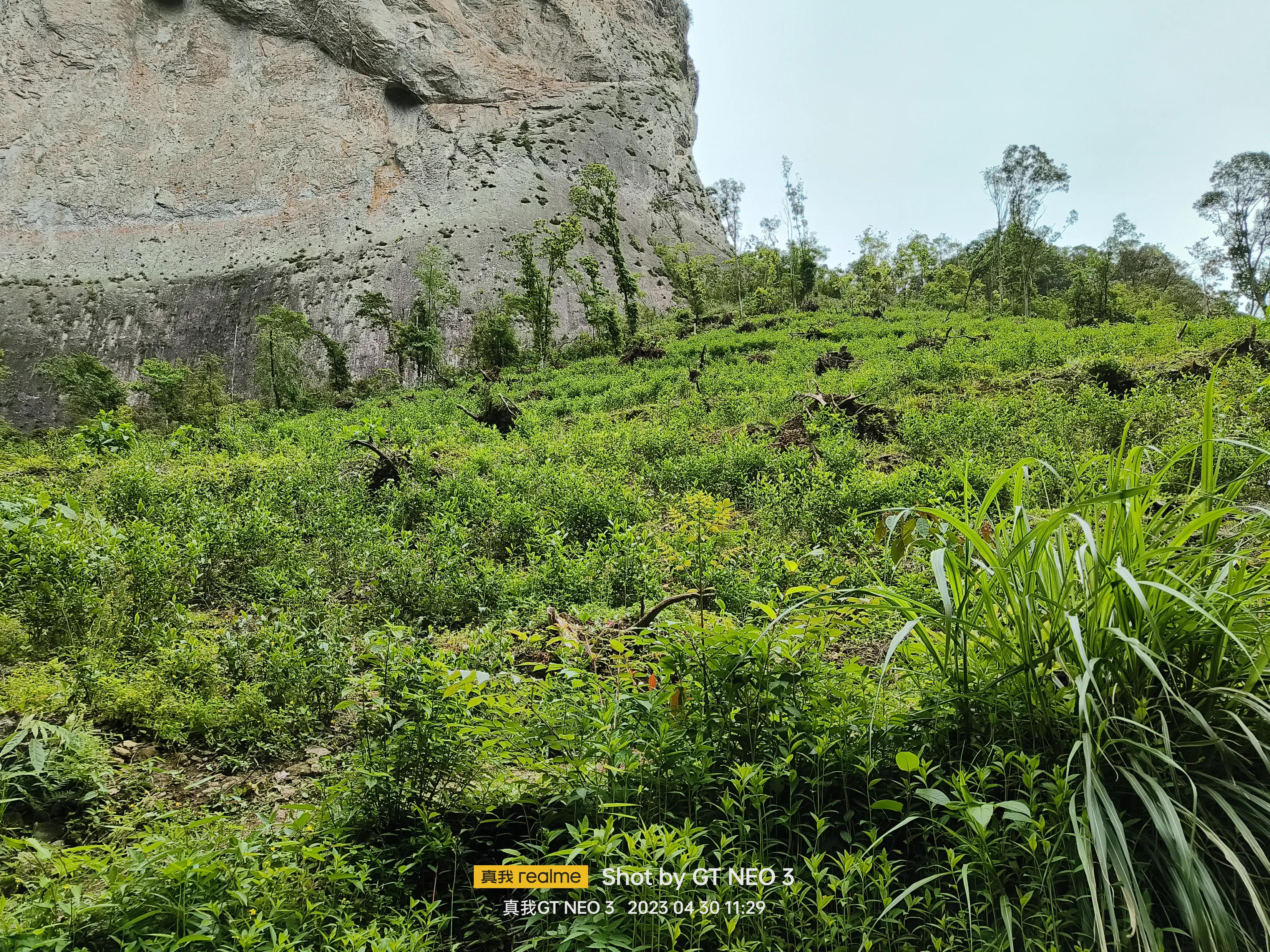 雁荡旅游日,雁荡二日游亲子
