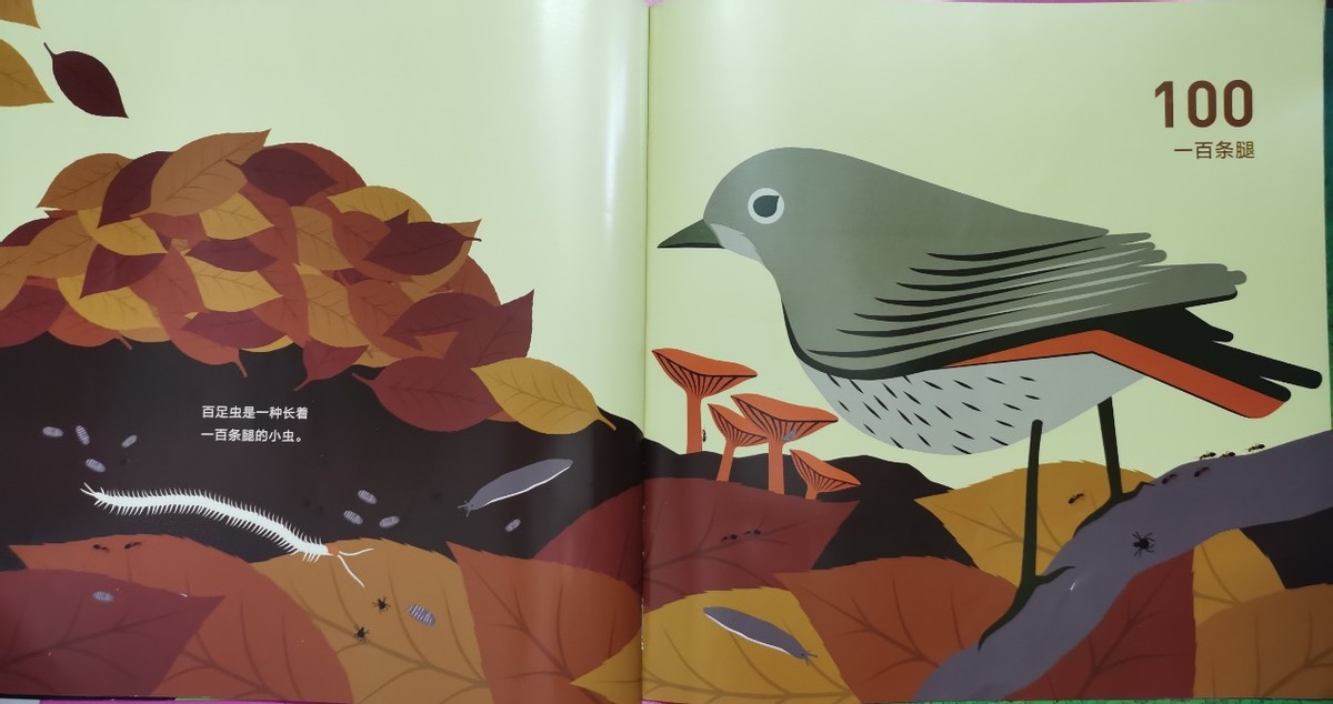 绘本和我一起数星星,儿童绘本推荐3-6岁星星主题