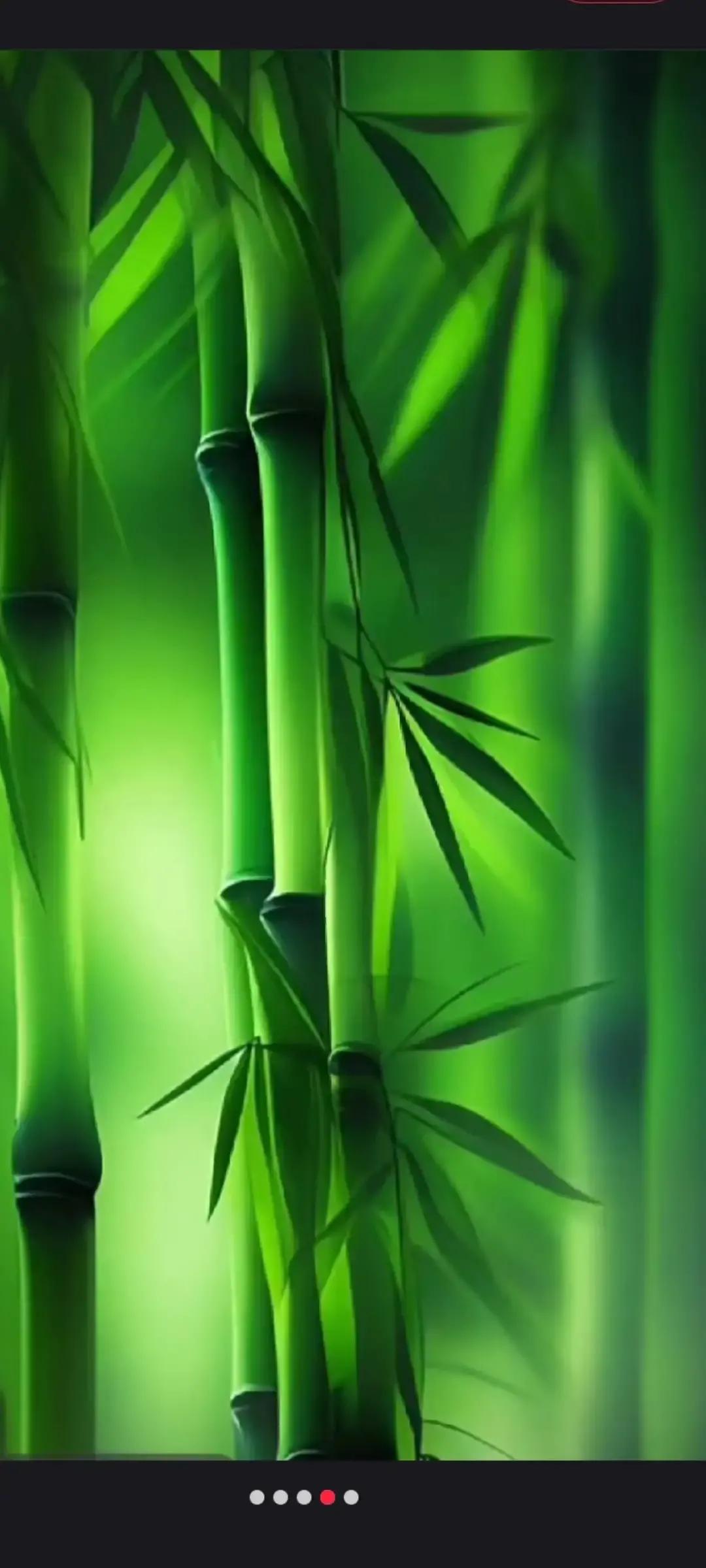 2023年农历是什么年癸卯年,2023年农历癸卯年是金兔年吗