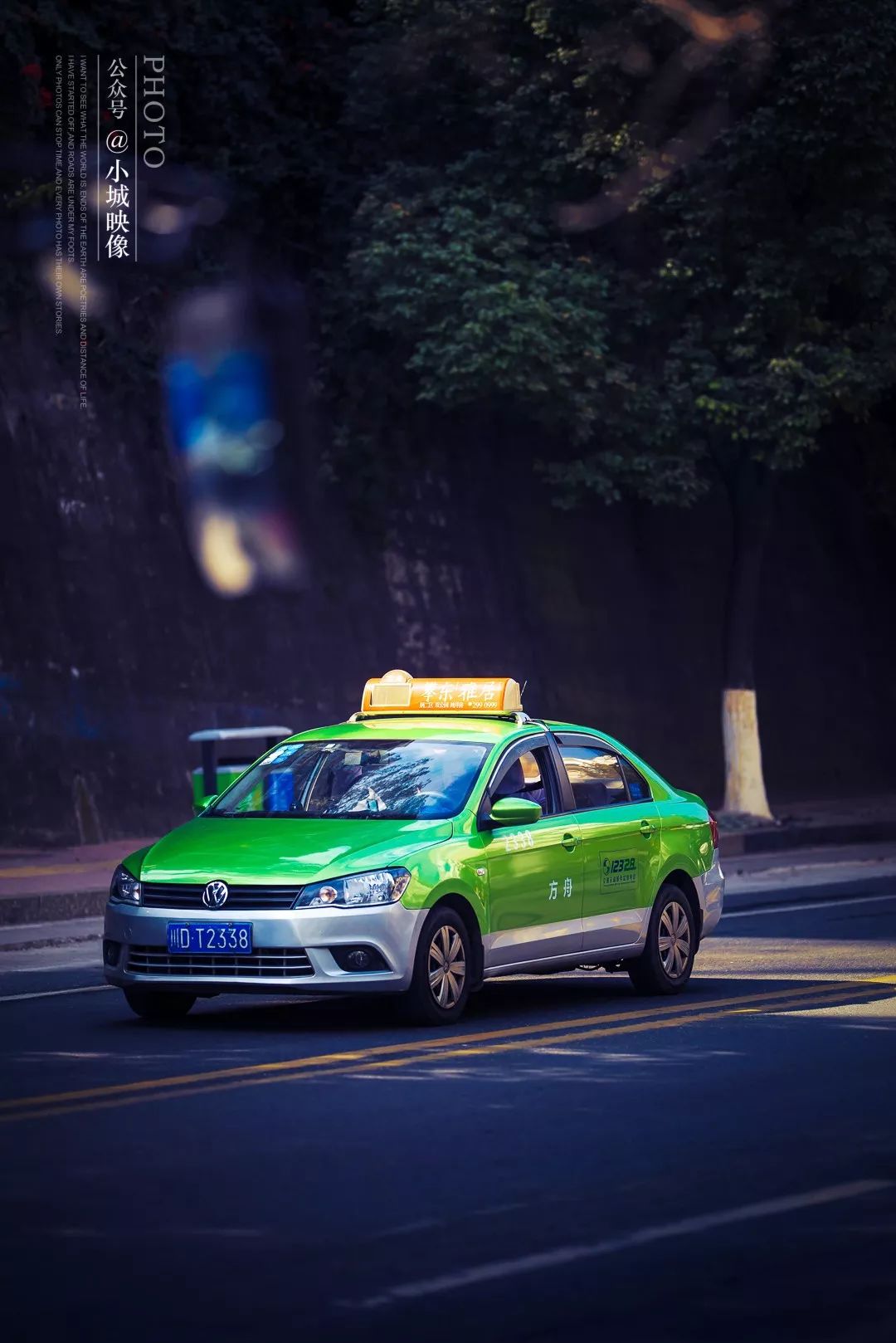 攀枝花是一种什么花,什么是攀枝花铁树