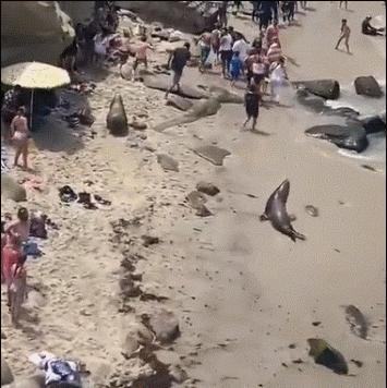 20张珍稀罕见动物照片,16张罕见的动物照