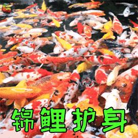 雅思官方放出大量7月考位速抢,雅思考位快讯