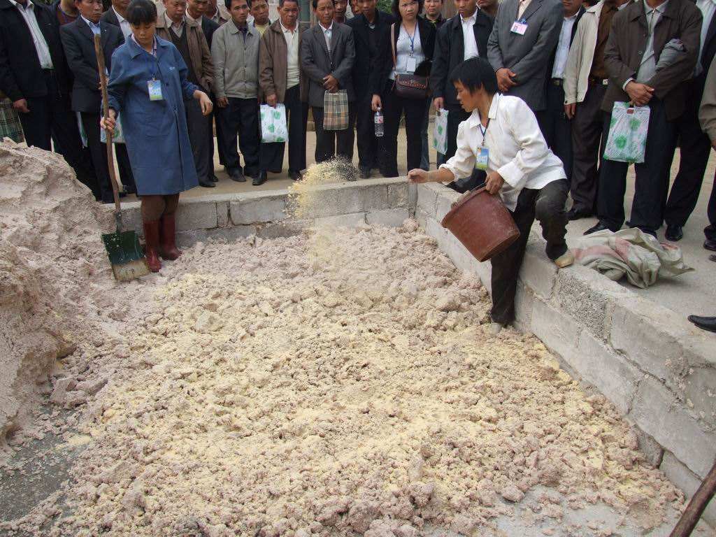 学会这5招养鹅不求人,养鹅怎么喂省钱而且还长的好