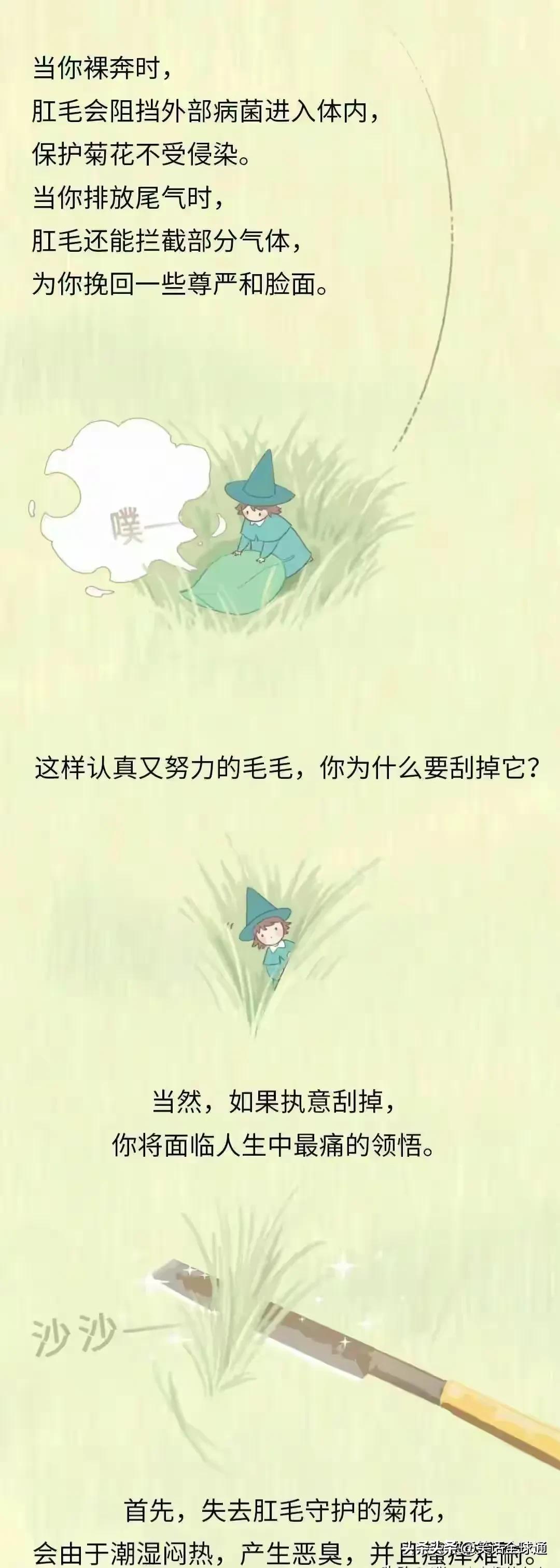 菊花毛、*处私**的毛能随便剃吗？有危害吗？