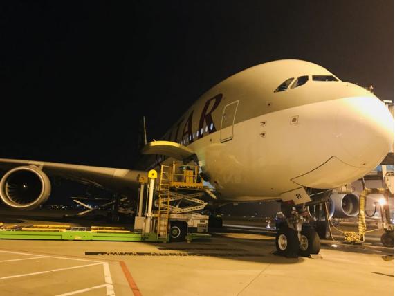 55岁的母亲身患肺癌完整版,55岁母亲患癌症