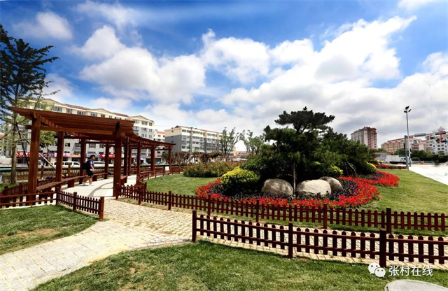 威海森林氧吧,夏天威海张村附近的公园