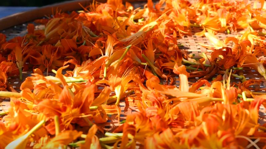 失眠最怕的十道菜,失眠最怕的食物和菜