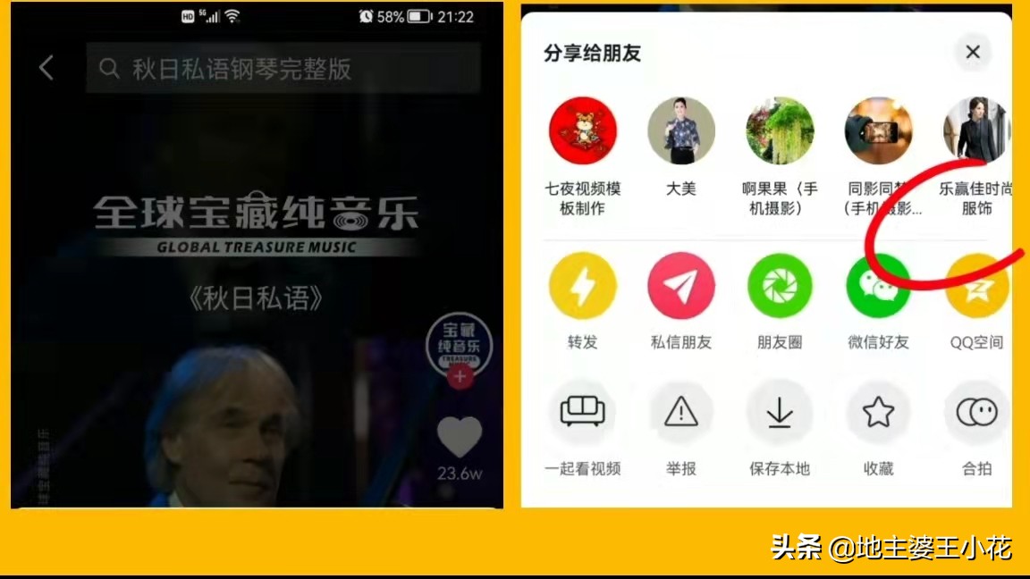 各种小花背景音乐,小花视频背景音乐