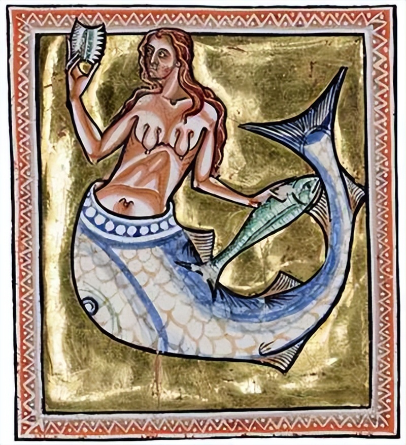 人鱼是怎样变成美人鱼的,丑人鱼变美长什么样子